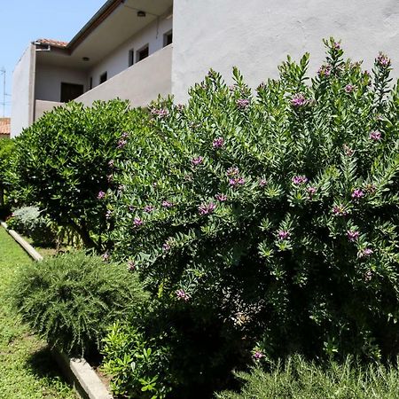 Yannis Apartments Áfitos Extérieur photo