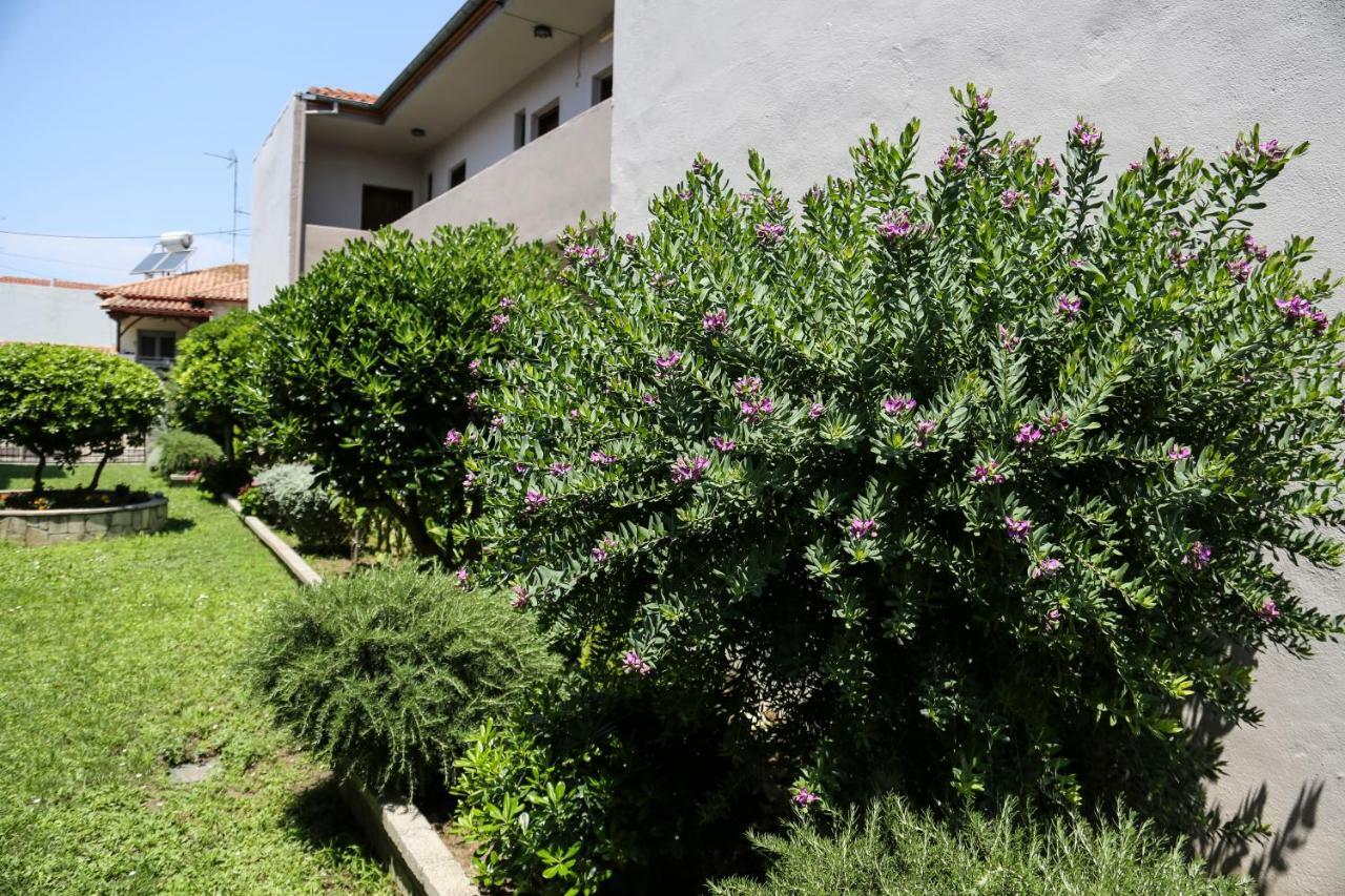 Yannis Apartments Áfitos Extérieur photo